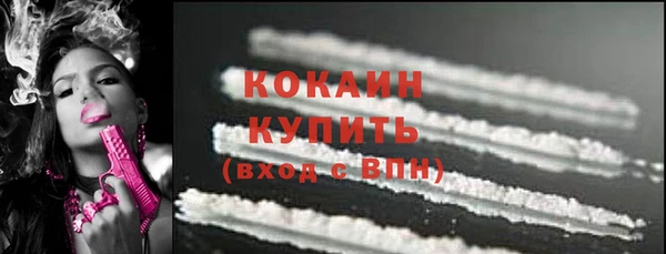 apvp Рославль